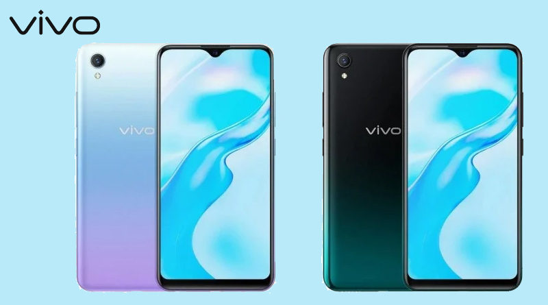 Vivo 1 1