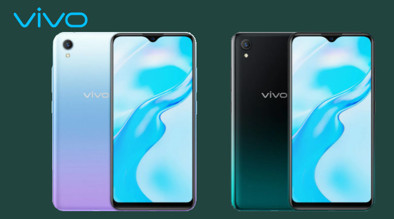 Vivo 1 2